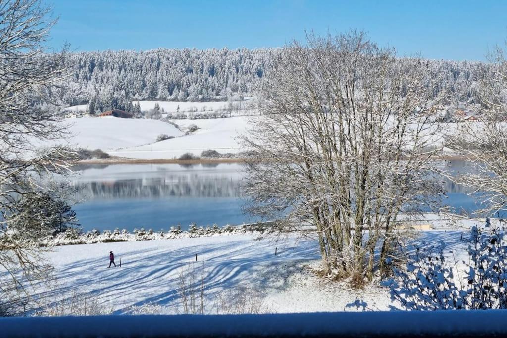 Duplex 6 Personnes, Vue Panoramique Sur Lac Malbuisson Exterior foto